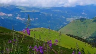 Bülbülan Yaylası: Doğanın dinginliği ve yüzyıllardır süregelen yaylacılık kültürü