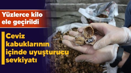 Ceviz kabuklarnn iinde uyuturucu sevkiyat