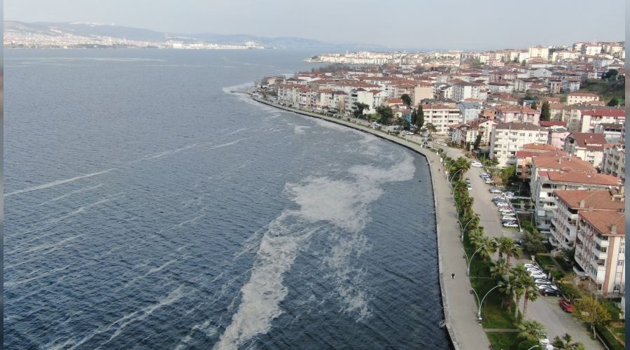Deniz salyası İzmit Körfezi'ni beyaza bürüdü