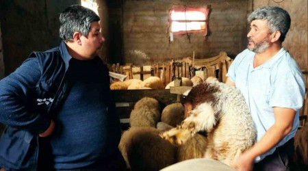 Deprem bölgelerinde hayvan hastalıkları ile mücadele sürüyor