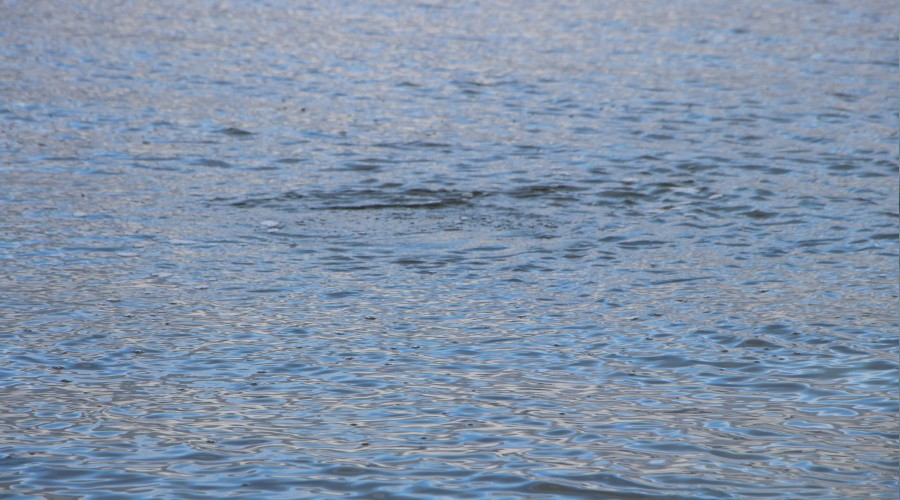 Deprem habercisi olabilir mi?