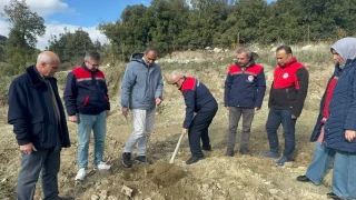 Eğirdir Gölü'ndeki kuraklık tarımda yön değiştirdi