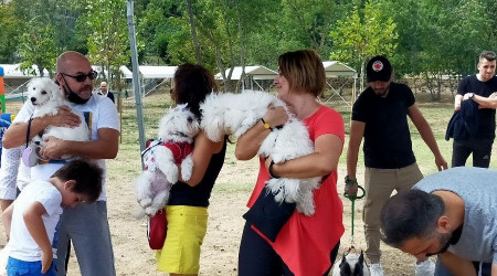 Esenler'de 'PatiFestivali' renkli görüntülere sahne oldu