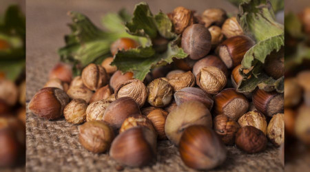 Fındık ihracatı yerinde sayıyor