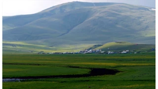 Göle Ovası: Yüksek yaylaların kalbinde bir bereket düzlüğü