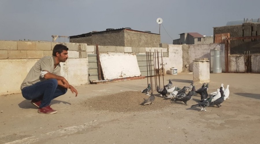 Güvercinlerinin değeri 200 bin lira