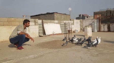 Güvercinlerinin değeri 200 bin lira