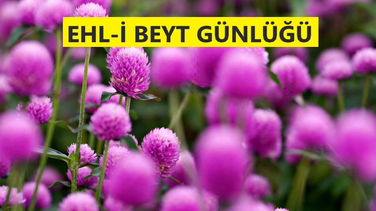 ‘Her doğrunun üzerinde nur vardır’