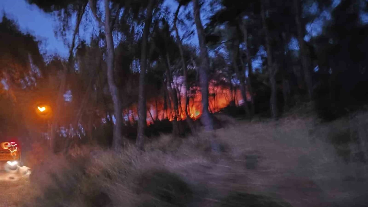 Heybeliada'da ormanlık alanda yangın