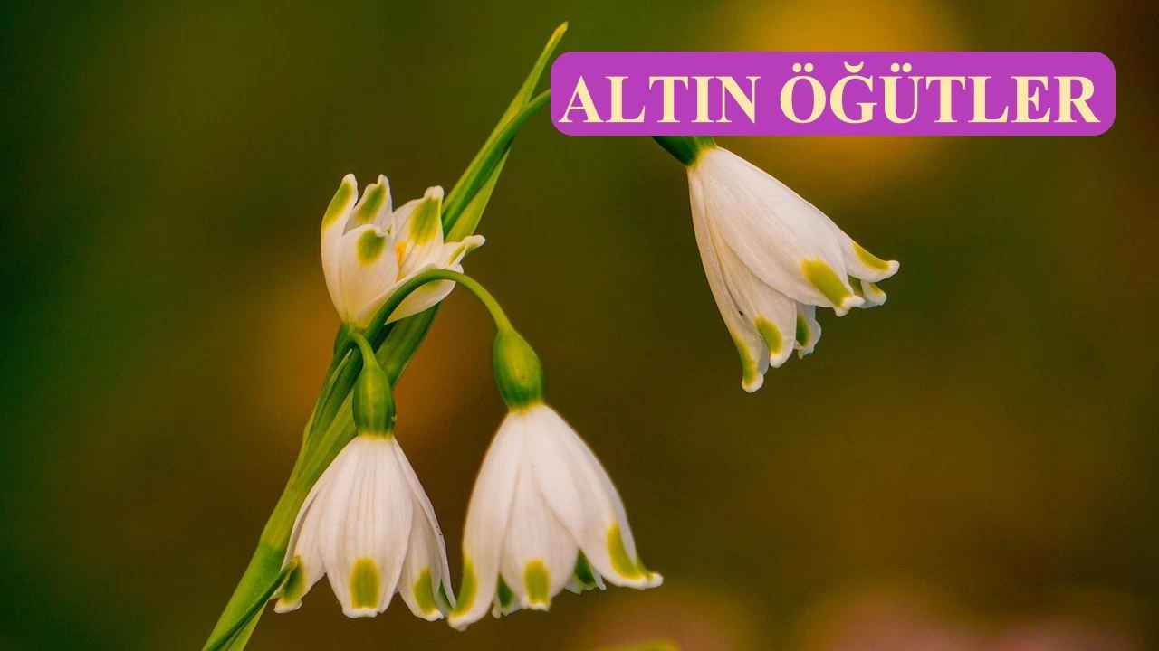 İhlâs nefse çok ağır gelir