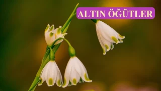 İhlâs nefse çok ağır gelir