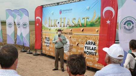 İlk hasat Kalkanlı'da