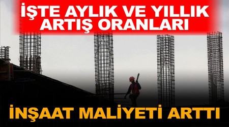 naat maliyeti aylk yzde 2,68 artt