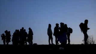 stanbul'da 74 kaak gmen daha yakaland