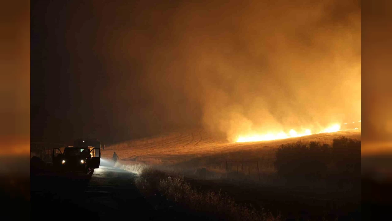 Kahramanmaraş'ta anız ve örtü yangını
