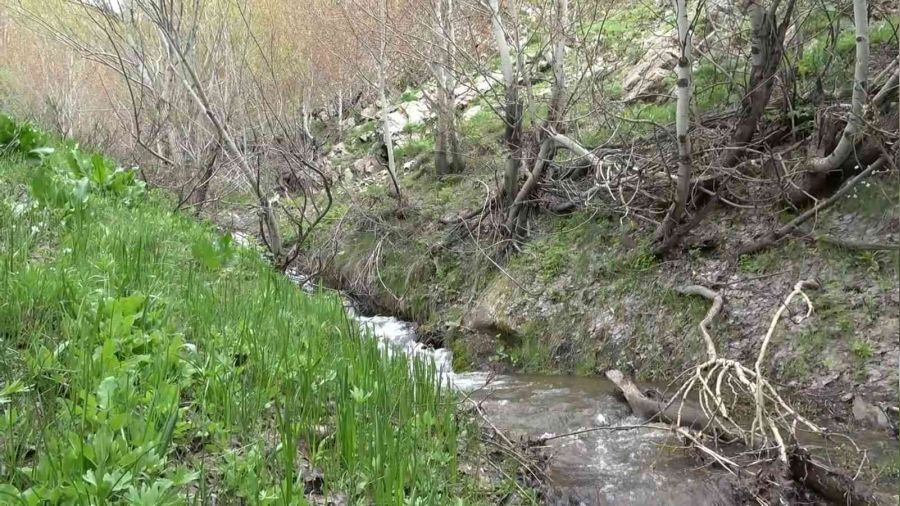 Kar sularının erimesiyle doğa canlandı