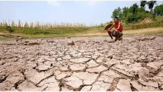 Kuraklık özellikle gıda sektörünü etkileyecek