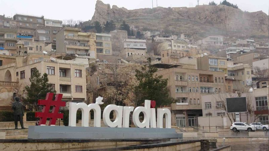 Mardin'de yılın ilk karı lapa lapa yağdı