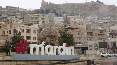 Mardin'de yılın ilk karı lapa lapa yağdı
