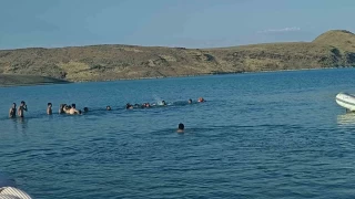 Muş'ta piknik faciası