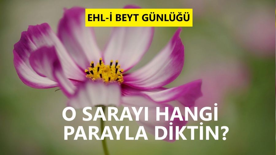 ‘O sarayı hangi parayla diktin?’