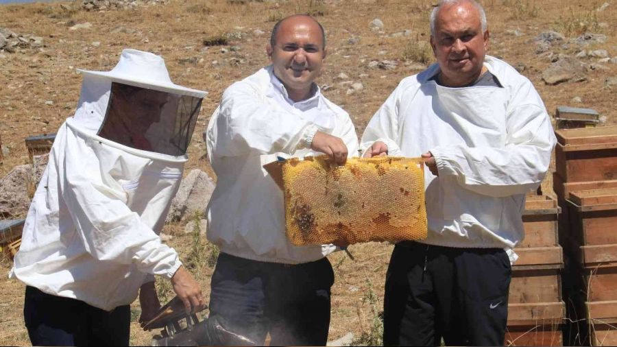 Petekler balla doldu, üreticinin yüzü güldü