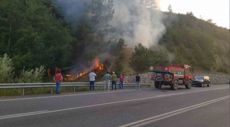 Sakarya'da orman yangını