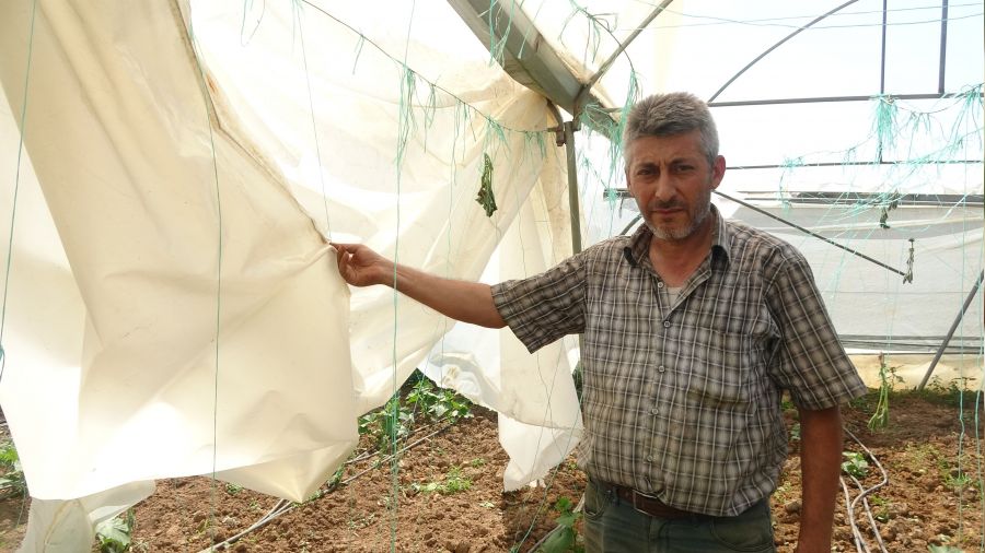 Salatalık seralarını hortum vurdu
