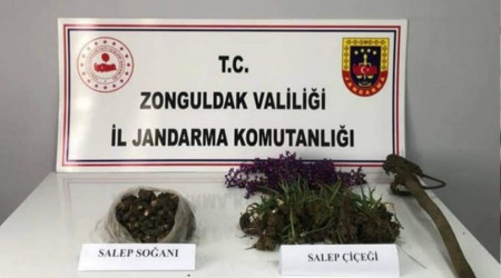 Salep soğanı toplayanlara 2 milyon lira ceza