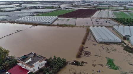 Sel 9 bin 530 dekar ekili alana zarar verdi