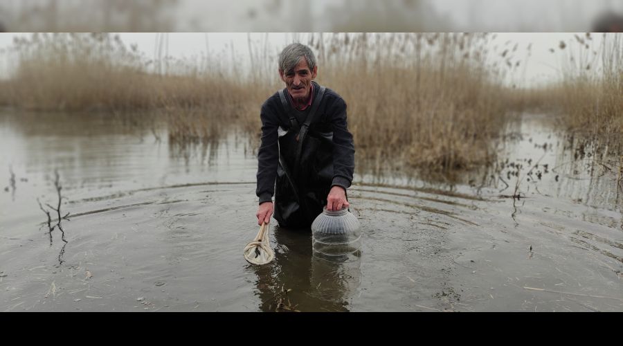 Şifalı sülük avcısı