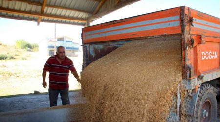 Sivas'ta yeni buğday sezonuna hazırlık başladı
