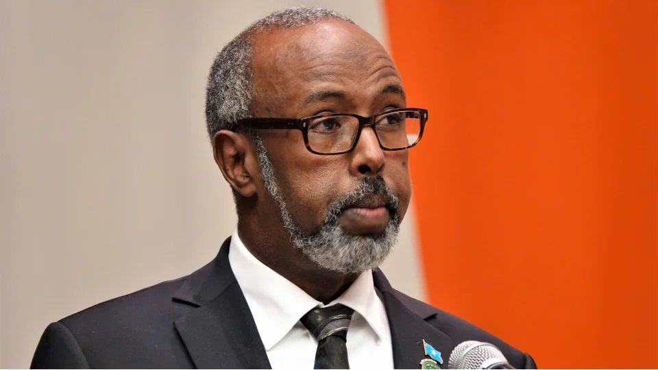 Somali: İsrail'in Somaliland kararı dünyanın dikkatini Filistin'den uzaklaştırmayı amaçlamaktadır