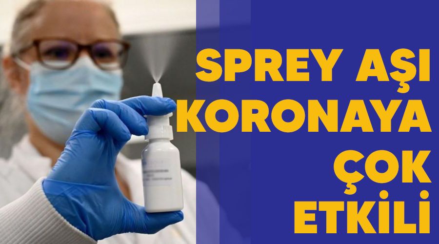 Sprey a koronaya ok etkili