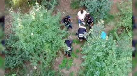 Tarım arazilerine kamufle etmişler