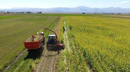 Tarımda doğru adımlar atılmıyor