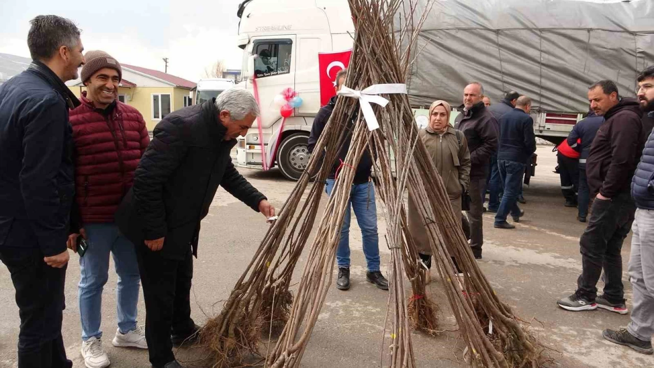 Van'da 640 bin adet fidan datld