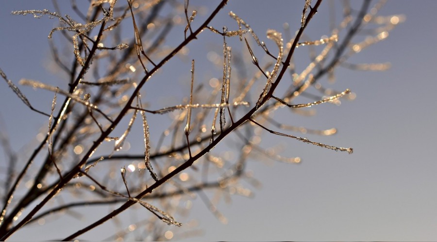 ‘Ya zalimin önünü alırsınız…’