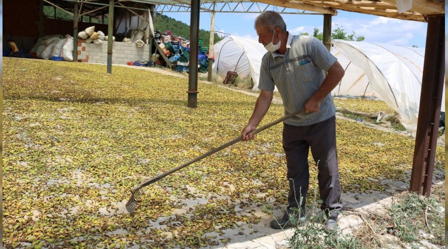 11 yıldır elektrik almaya çalışıyor