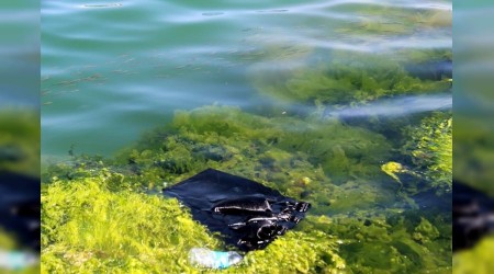 8 milyon tondan fazla plastik denize atılıyor