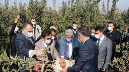 Ahlat'taki elma yetiştiricilerine destek