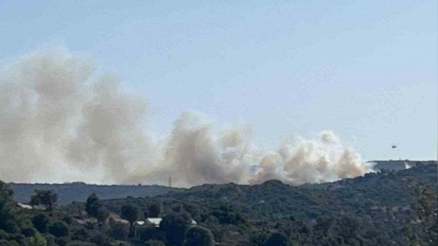 Alaçatı'daki orman yangınına müdahale ediliyor