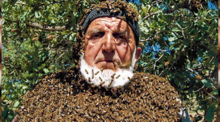 Arılarla iç içe maskesiz çalışıyor