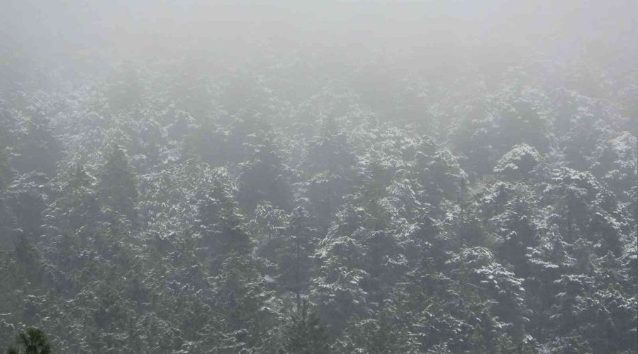 Aydos Ormanına yeniden kar yağmaya başladı