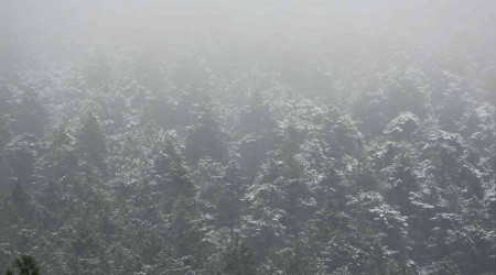 Aydos Ormanına yeniden kar yağmaya başladı