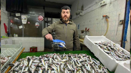 Balıkçılar sezon umutsuz kapatıyor