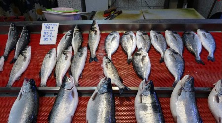 Balıkçılar sezonu erken bitirdi