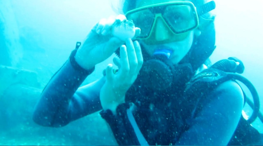 Balon balığını su altında sevip beslediler