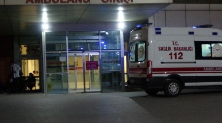 Beslediği pitbull kardeşini yaraladı