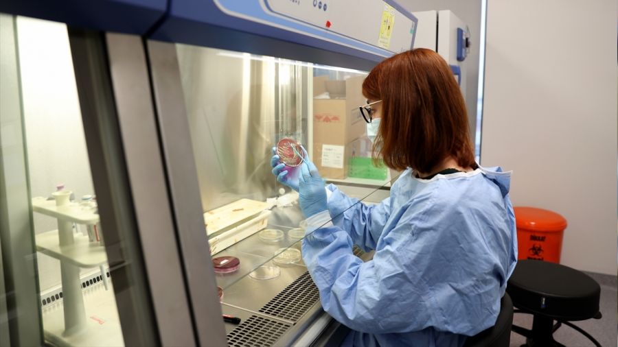 Beyin göçü tam gaz